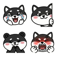 動く丸顔ツキノワグマ20