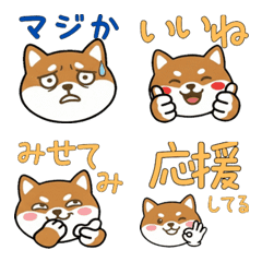 動く丸顔テンターフィールド22