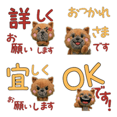 Animated Polite Cairn Terrier  12