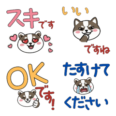 แบดเจอร์ สุภาพ ดุ๊กดิ๊ก 24