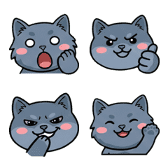 แมวเนเบลุงหน้ากลม ดุ๊กดิ๊ก 20