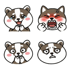 แบดเจอร์หน้ากลม ดุ๊กดิ๊ก 20