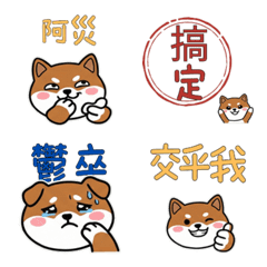 บาเซนจิ ไต้หวัน ดุ๊กดิ๊ก 38