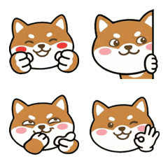 動く丸顔テンターフィールド20