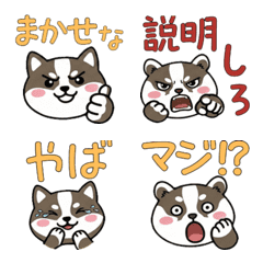 แบดเจอร์หน้ากลม ดุ๊กดิ๊ก 22