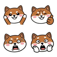 บาเซนจิหน้ากลม ดุ๊กดิ๊ก 20