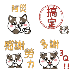 แบดเจอร์ ไต้หวัน ดุ๊กดิ๊ก 38