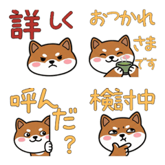 บาเซนจิหน้ากลม ดุ๊กดิ๊ก 22