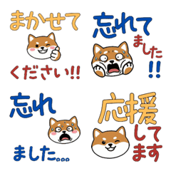 ทอย ฟอกซ์ เทอร์เรีย สุภาพ 24