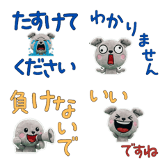 Polite Greyhound  11