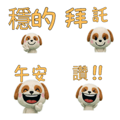 Taiwanese Cavapoo  33