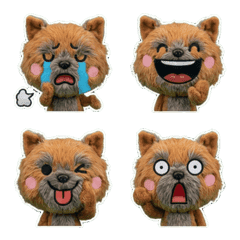 Plush Cairn Terrier  7th