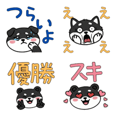 Round Face Asian Black Bear 21