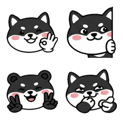 Round Face Asian Black Bear 19