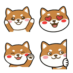 Round Face Tenterfield Terrier 19