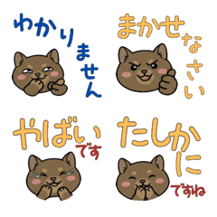 Polite Round Face Degu 23