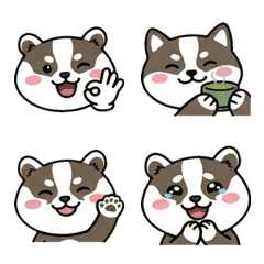 Round Face Japanese Badger 19
