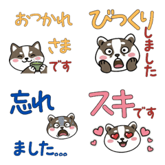 Polite Japanese Badger 23