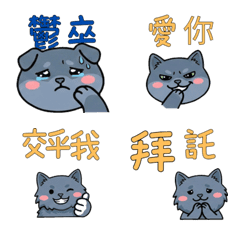 Taiwanese Nebelung Cat 37