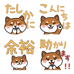 Round Face Basenji 21