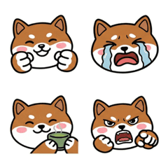 Round Face Basenji 19