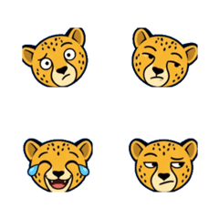 Cute Cheetah: Funny Faces