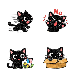 Mysterious little black cat