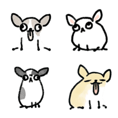 I drew a chihuahua from memory