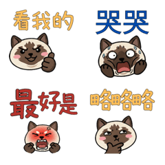 Taiwanese Balinese Cat 37