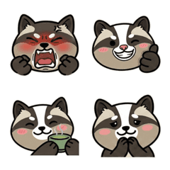 Round Face Masked Palm Civet 19