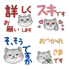 แมวเบอร์มิลลาหน้ากลม สุภาพ 23