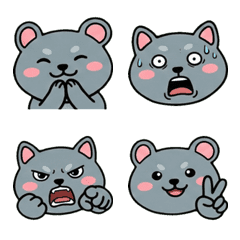 หนูหริ่งหน้ากลม 19