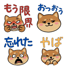 Round Face Prairie Dog 21