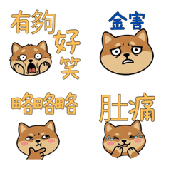 Taiwanese Prairie Dog 37