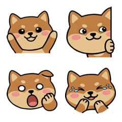 Round Face Prairie Dog 19