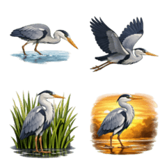 นกกระสาเทา 3D