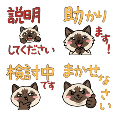 Animated Polite Balinese Cat 24