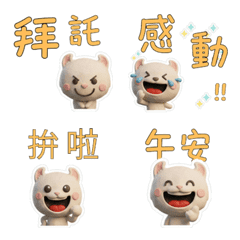 Moving Taiwanese American Curl 40