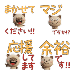 แมวเอ็กโซติก สุภาพ 29