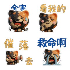 แมวลายกระดองเต่า ไต้หวัน 40