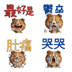 สุนัขเชตแลนด์ชีปด็อก ไต้หวัน 40