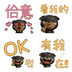 Moving Taiwanese Doberman 40