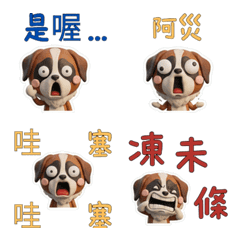 Moving Taiwanese Saint Bernard 40