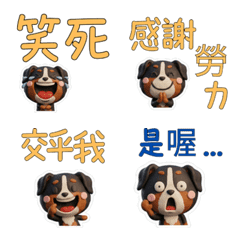 動く台湾語のバーニーズ40