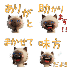 แมวหิมาลายัน ขยับได้ 28