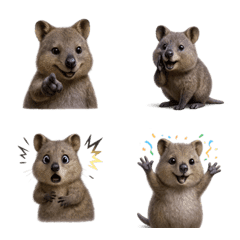 น่ารัก! อีโมจิควอกก้าวอลลาบี 1