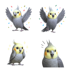 น่ารัก! อีโมจิ นกค็อกคาเทล 1