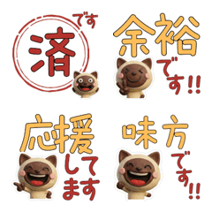 Polite 3D Tonkinese Cat 29