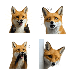 น่ารัก! อีโมจิจิ้งจอก 1