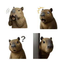 อีโมจิ คาปิบารา น่ารัก 1